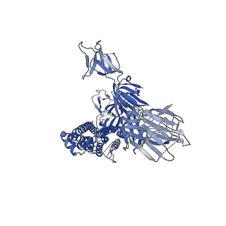 23507_7lss_C_v1-1
Cryo-EM structure of the SARS-CoV-2 spike glycoprotein bound to Fab 2-7