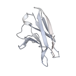23507_7lss_L_v1-1
Cryo-EM structure of the SARS-CoV-2 spike glycoprotein bound to Fab 2-7