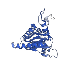23508_7lsx_A_v1-2
Cryo-EM structure of 13S proteasome core particle assembly intermediate purified from Pre3-1 proteasome mutant (G34D)
