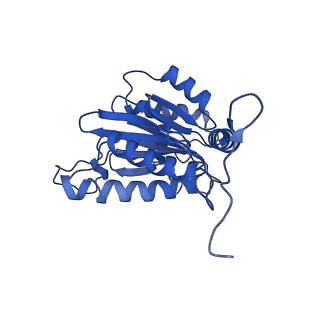 23508_7lsx_B_v1-2
Cryo-EM structure of 13S proteasome core particle assembly intermediate purified from Pre3-1 proteasome mutant (G34D)