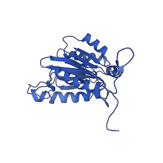 23508_7lsx_B_v1-3
Cryo-EM structure of 13S proteasome core particle assembly intermediate purified from Pre3-1 proteasome mutant (G34D)