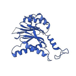 23508_7lsx_C_v1-3
Cryo-EM structure of 13S proteasome core particle assembly intermediate purified from Pre3-1 proteasome mutant (G34D)