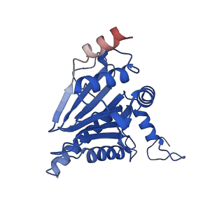 23508_7lsx_D_v1-2
Cryo-EM structure of 13S proteasome core particle assembly intermediate purified from Pre3-1 proteasome mutant (G34D)