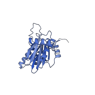 23508_7lsx_E_v1-3
Cryo-EM structure of 13S proteasome core particle assembly intermediate purified from Pre3-1 proteasome mutant (G34D)