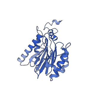 23508_7lsx_F_v1-2
Cryo-EM structure of 13S proteasome core particle assembly intermediate purified from Pre3-1 proteasome mutant (G34D)
