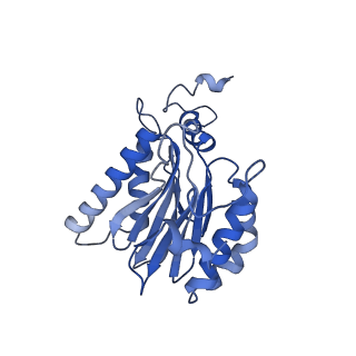 23508_7lsx_F_v1-3
Cryo-EM structure of 13S proteasome core particle assembly intermediate purified from Pre3-1 proteasome mutant (G34D)