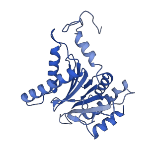 23508_7lsx_G_v1-3
Cryo-EM structure of 13S proteasome core particle assembly intermediate purified from Pre3-1 proteasome mutant (G34D)