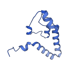 23508_7lsx_H_v1-3
Cryo-EM structure of 13S proteasome core particle assembly intermediate purified from Pre3-1 proteasome mutant (G34D)