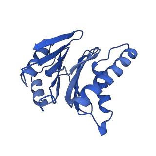 23508_7lsx_J_v1-3
Cryo-EM structure of 13S proteasome core particle assembly intermediate purified from Pre3-1 proteasome mutant (G34D)