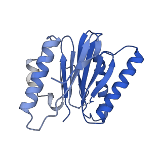 23508_7lsx_K_v1-3
Cryo-EM structure of 13S proteasome core particle assembly intermediate purified from Pre3-1 proteasome mutant (G34D)