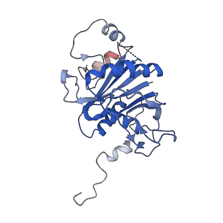 23508_7lsx_P_v1-2
Cryo-EM structure of 13S proteasome core particle assembly intermediate purified from Pre3-1 proteasome mutant (G34D)