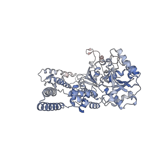 0967_6lt4_A_v1-0
AAA+ ATPase, ClpL from Streptococcus pneumoniae: ATPrS-bound