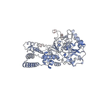 0967_6lt4_A_v1-1
AAA+ ATPase, ClpL from Streptococcus pneumoniae: ATPrS-bound