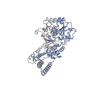 0967_6lt4_B_v1-0
AAA+ ATPase, ClpL from Streptococcus pneumoniae: ATPrS-bound
