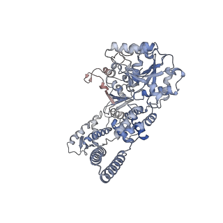 0967_6lt4_B_v1-1
AAA+ ATPase, ClpL from Streptococcus pneumoniae: ATPrS-bound