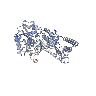 0967_6lt4_D_v1-0
AAA+ ATPase, ClpL from Streptococcus pneumoniae: ATPrS-bound