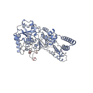 0967_6lt4_D_v1-1
AAA+ ATPase, ClpL from Streptococcus pneumoniae: ATPrS-bound