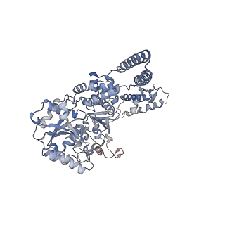 0967_6lt4_E_v1-0
AAA+ ATPase, ClpL from Streptococcus pneumoniae: ATPrS-bound