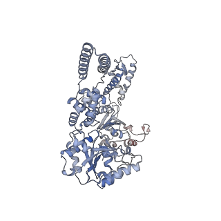 0967_6lt4_F_v1-0
AAA+ ATPase, ClpL from Streptococcus pneumoniae: ATPrS-bound