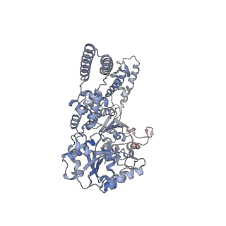 0967_6lt4_F_v1-1
AAA+ ATPase, ClpL from Streptococcus pneumoniae: ATPrS-bound