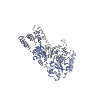 0967_6lt4_G_v1-0
AAA+ ATPase, ClpL from Streptococcus pneumoniae: ATPrS-bound