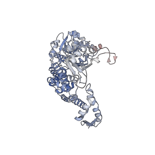 0967_6lt4_H_v1-0
AAA+ ATPase, ClpL from Streptococcus pneumoniae: ATPrS-bound