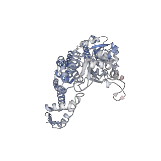 0967_6lt4_I_v1-0
AAA+ ATPase, ClpL from Streptococcus pneumoniae: ATPrS-bound