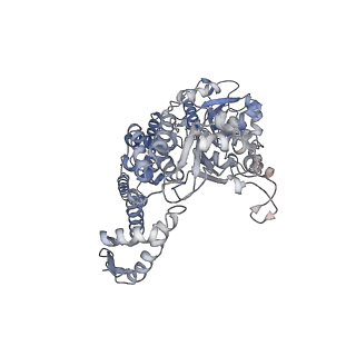 0967_6lt4_I_v1-1
AAA+ ATPase, ClpL from Streptococcus pneumoniae: ATPrS-bound