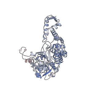 0967_6lt4_L_v1-0
AAA+ ATPase, ClpL from Streptococcus pneumoniae: ATPrS-bound