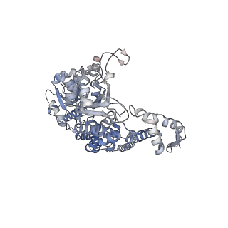 0967_6lt4_N_v1-0
AAA+ ATPase, ClpL from Streptococcus pneumoniae: ATPrS-bound