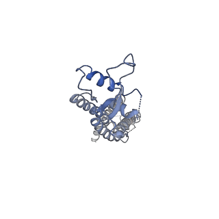 0975_6ltn_B_v1-1
cryo-EM structure of C-terminal truncated human Pannexin1