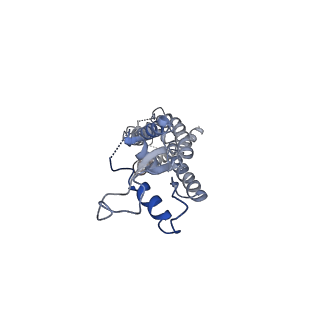 0975_6ltn_C_v1-1
cryo-EM structure of C-terminal truncated human Pannexin1