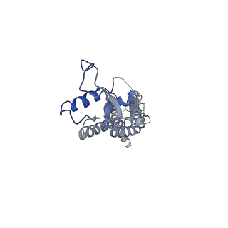 0975_6ltn_D_v1-1
cryo-EM structure of C-terminal truncated human Pannexin1