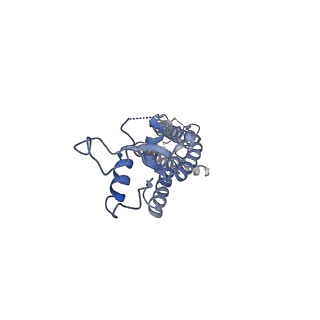 0975_6ltn_E_v1-1
cryo-EM structure of C-terminal truncated human Pannexin1