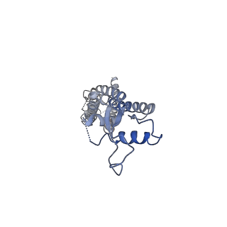 0975_6ltn_F_v1-1
cryo-EM structure of C-terminal truncated human Pannexin1