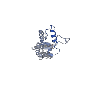 0975_6ltn_G_v1-1
cryo-EM structure of C-terminal truncated human Pannexin1