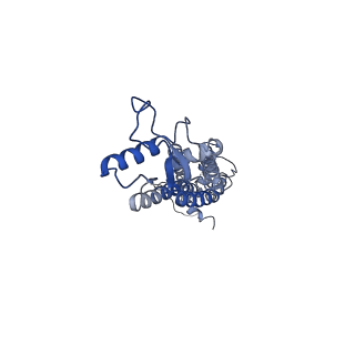 0976_6lto_A_v1-1
cryo-EM structure of full length human Pannexin1