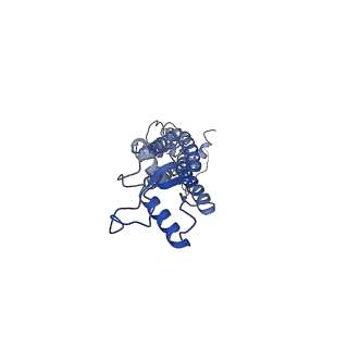0976_6lto_B_v1-1
cryo-EM structure of full length human Pannexin1