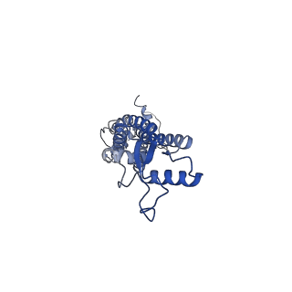 0976_6lto_C_v1-1
cryo-EM structure of full length human Pannexin1