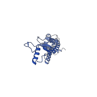 0976_6lto_D_v1-1
cryo-EM structure of full length human Pannexin1