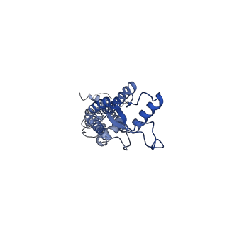 0976_6lto_E_v1-1
cryo-EM structure of full length human Pannexin1