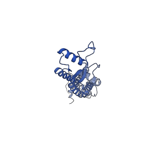 0976_6lto_F_v1-1
cryo-EM structure of full length human Pannexin1
