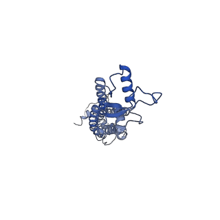 0976_6lto_G_v1-1
cryo-EM structure of full length human Pannexin1