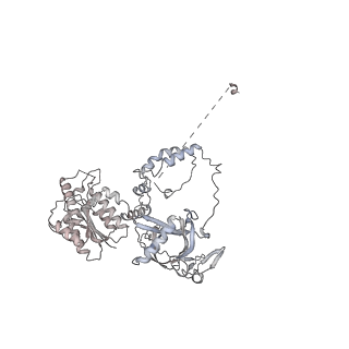 23510_7lt3_K_v1-2
NHEJ Long-range synaptic complex