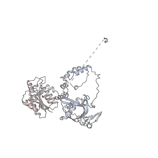 23510_7lt3_K_v1-3
NHEJ Long-range synaptic complex