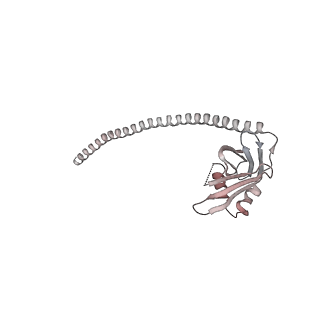 23510_7lt3_O_v1-2
NHEJ Long-range synaptic complex