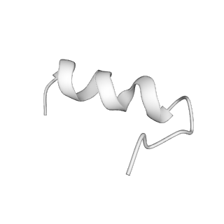 23510_7lt3_Q_v1-3
NHEJ Long-range synaptic complex