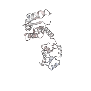 23510_7lt3_X_v1-2
NHEJ Long-range synaptic complex