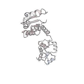 23510_7lt3_X_v1-3
NHEJ Long-range synaptic complex