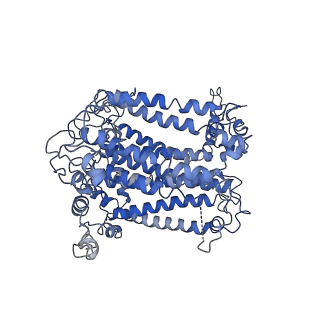 0977_6lu1_B_v1-0
Cyanobacterial PSI Monomer from T. elongatus by Single Particle CRYO-EM at 3.2 A Resolution